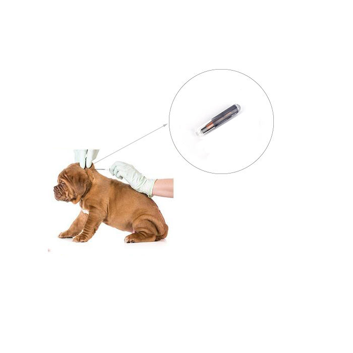High Quality Promotional Rfid Uhf Glass Tube Tag rfid glass tag with syringe