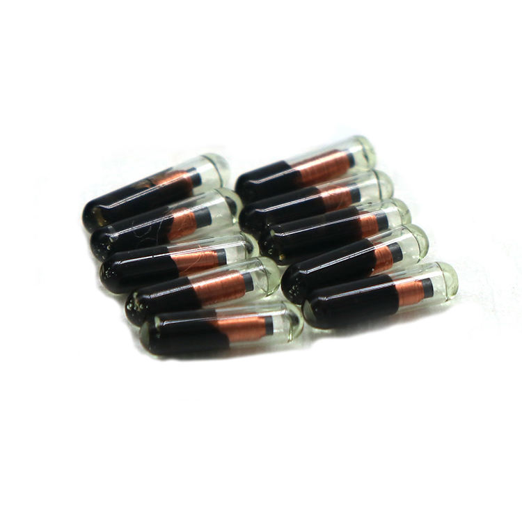 Rewritable 134.2KHz EM4305 RFID Animal Microchip Pet ID Tag